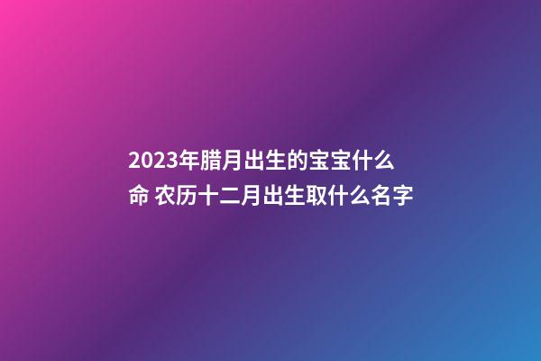 2023年腊月出生的宝宝什么命 农历十二月出生取什么名字